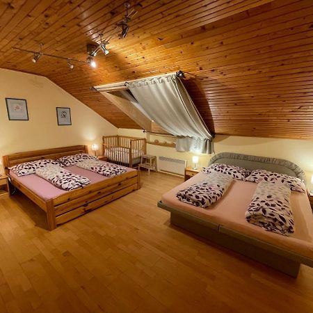 Villa Ubytovani Duskovi à Lipno nad Vltavou Extérieur photo