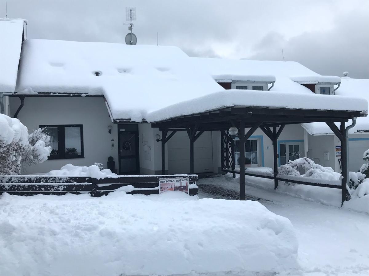 Villa Ubytovani Duskovi à Lipno nad Vltavou Extérieur photo